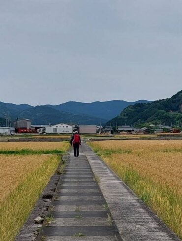 (攝影/譚玉芝)