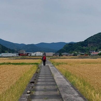 (攝影/譚玉芝)
