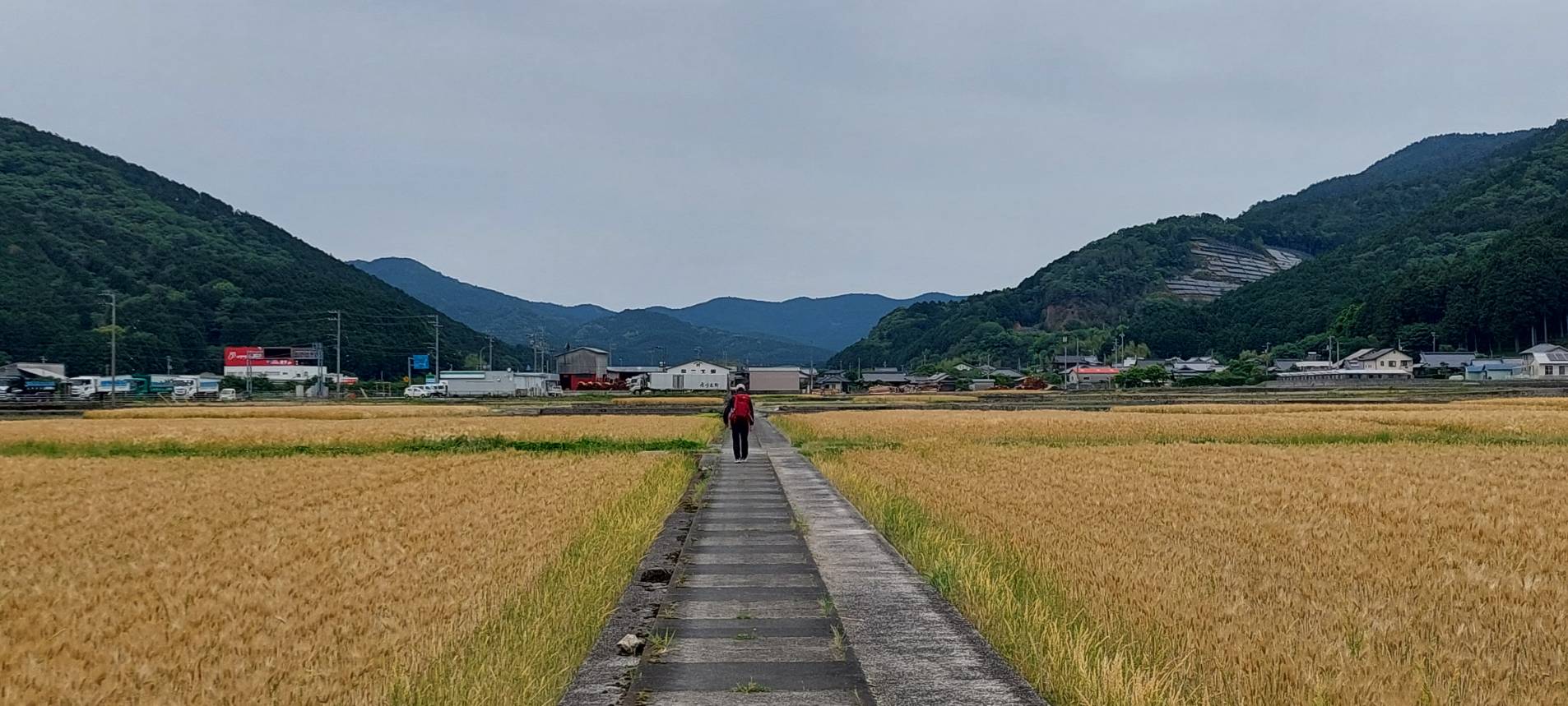 (攝影/譚玉芝)