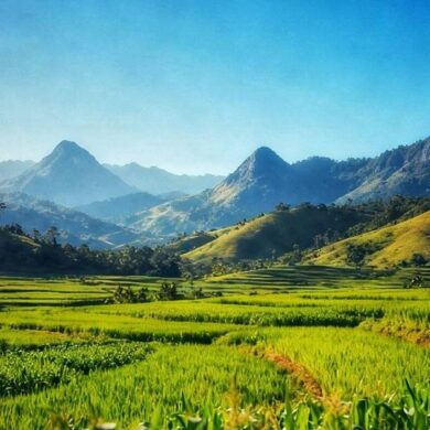 （圖／黃宥茹）