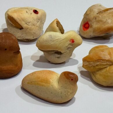 （攝影／和菓子）