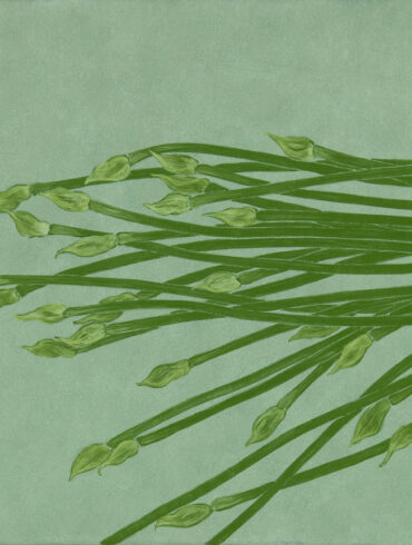 繪圖/鍾舜文〈日常採集-筷菜花〉2015，膠彩紙本，22x22.7cm