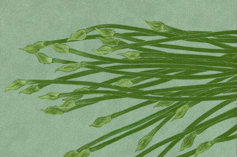 繪圖/鍾舜文〈日常採集-筷菜花〉2015，膠彩紙本，22x22.7cm