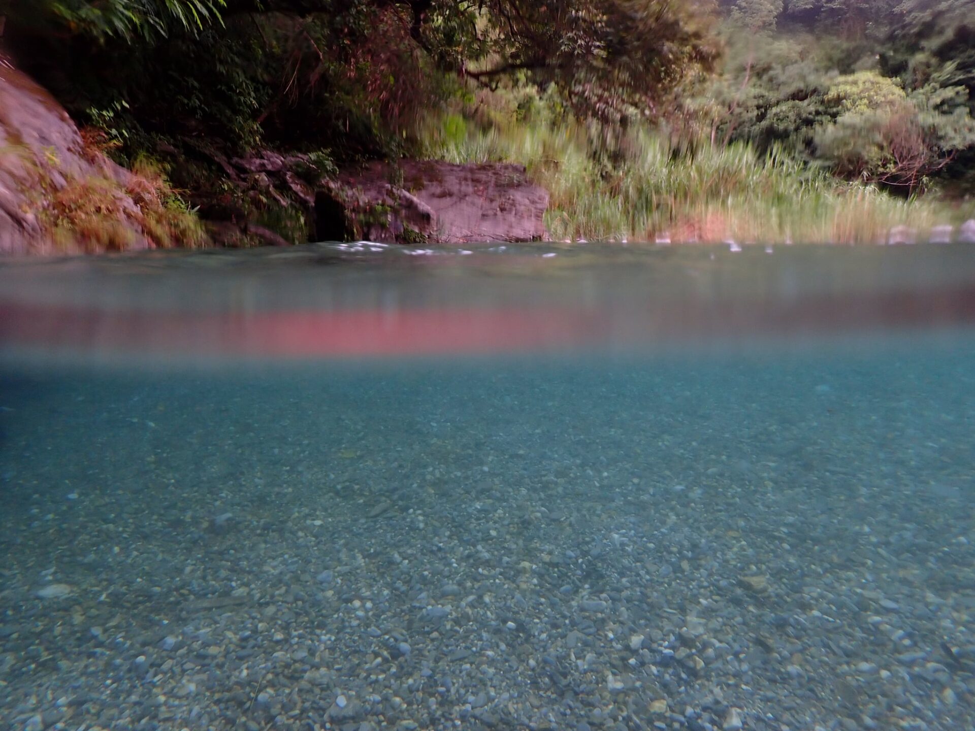 選取 副刊三八O期 | 豚影。鱉影。月影