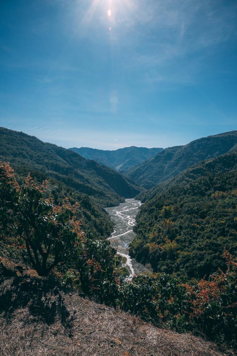 (攝影/古碧玲)