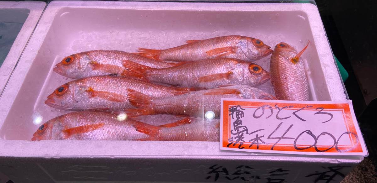 來自輪島港的喉黑(攝影/周姚萍)