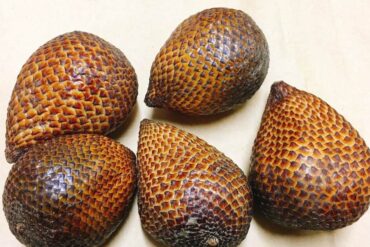 蛇皮果(攝影/王瑞閔)