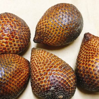 蛇皮果(攝影/王瑞閔)