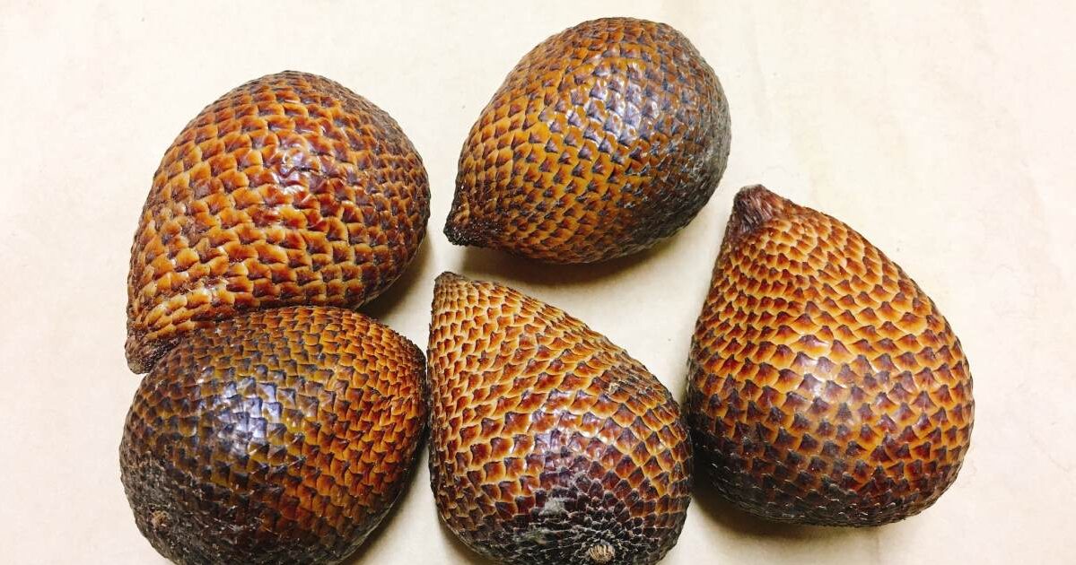 蛇皮果(攝影/王瑞閔)