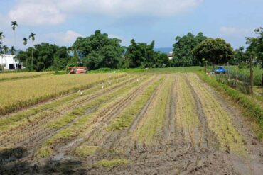 （圖／黃宥茹）