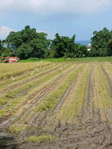 （圖／黃宥茹）
