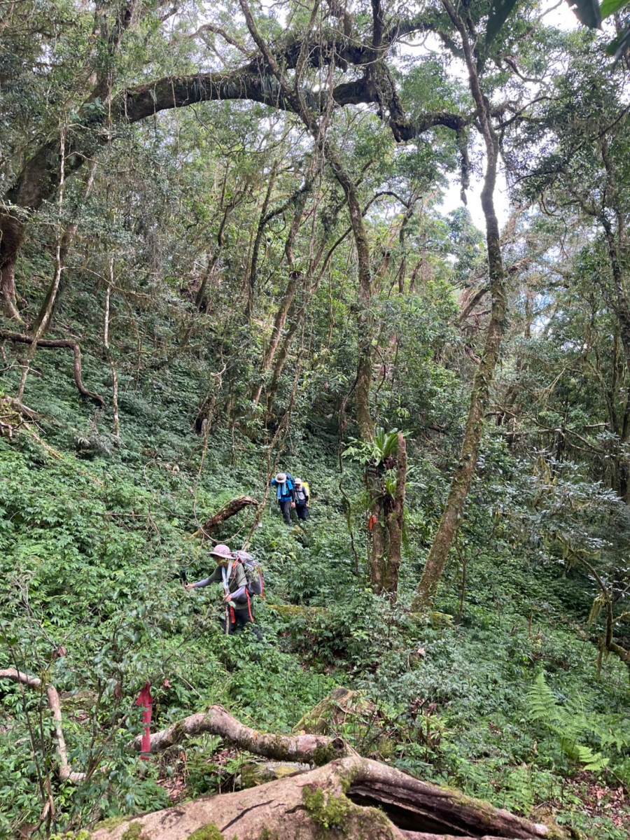 走進玉里山(攝影/陳怡安)