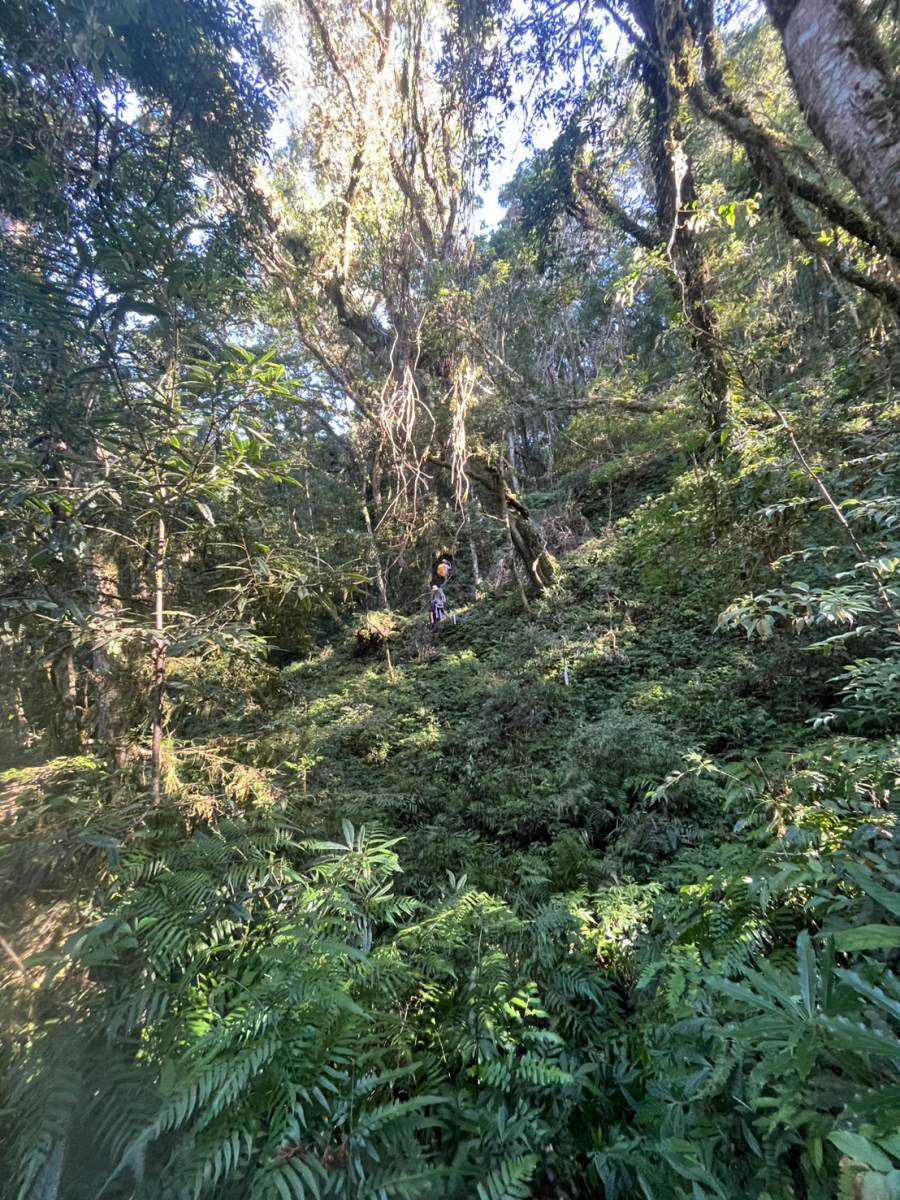 玉里山的內裡(攝影/陳怡安)