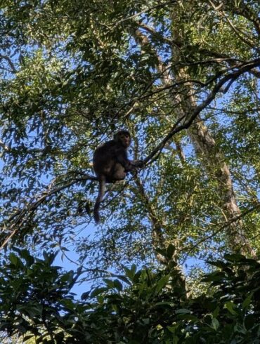 （圖／何耀仁）