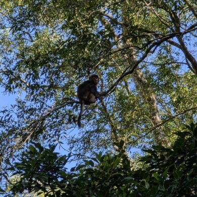 （圖／何耀仁）
