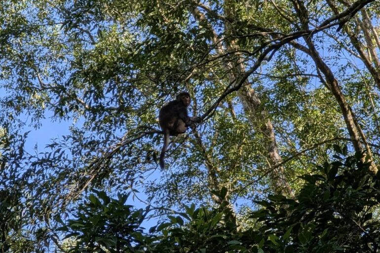 （圖／何耀仁）