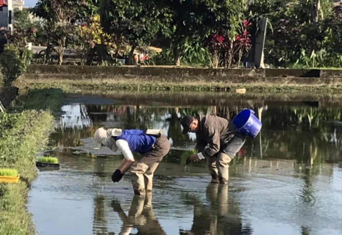 究竟是什麼力量在推動？又是什麼讓這條從農田走進酒廠、從個人實踐走向制度建構的路，能夠持續往前走？(攝影/楊文全)
