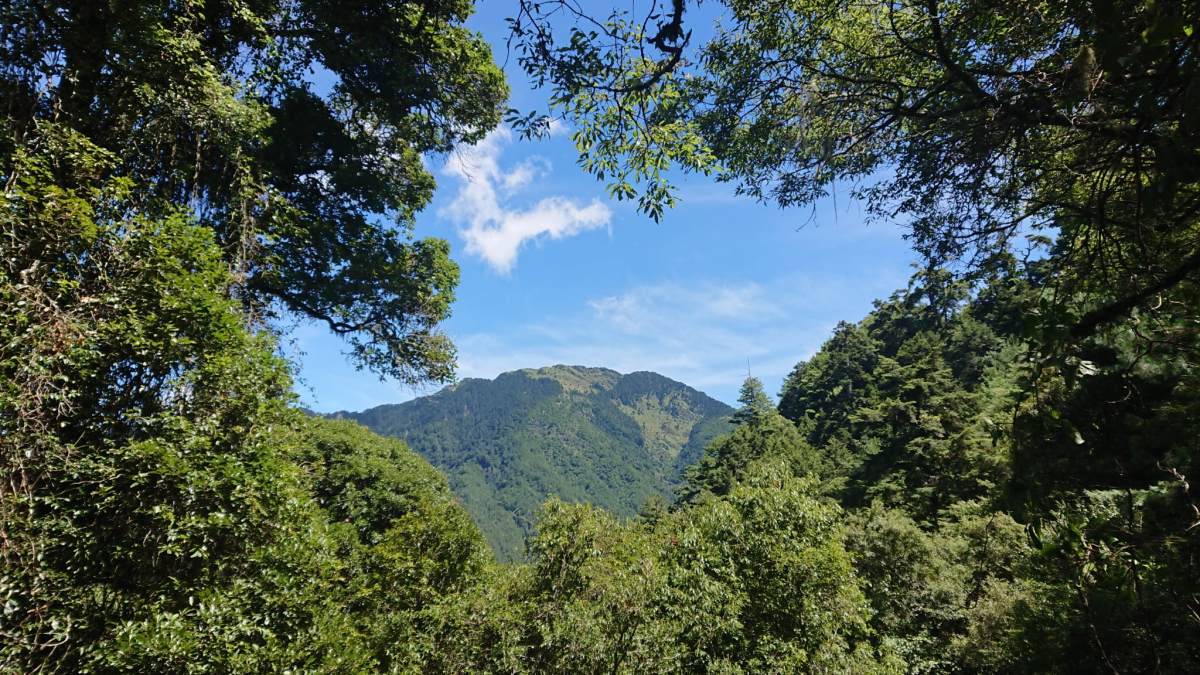 路徑上眺望畢祿山(攝影/陳姵穎)