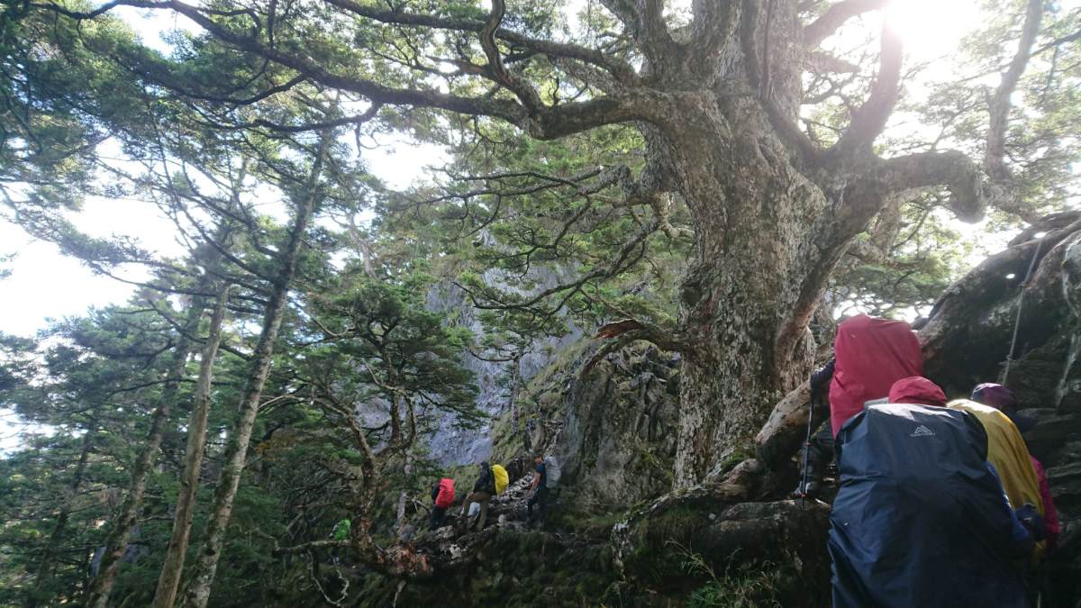 峭壁路狹,且後有急促推進步伐的他團山友(攝影/陳姵穎)