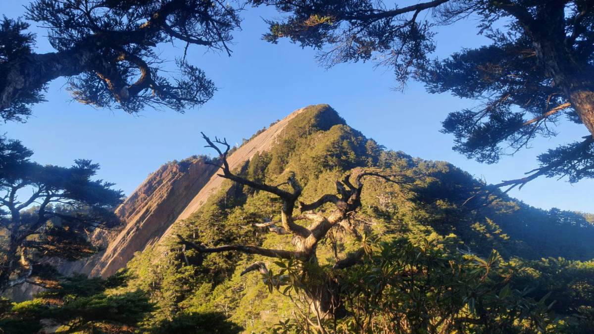 對山谷發自內心低喊:「我回來了。」(攝影/劉崇鳳)