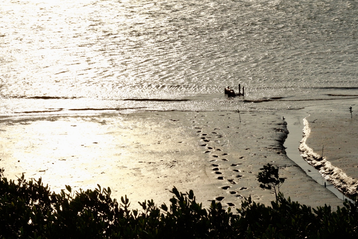 副刊三八九期 | 土森賦神
