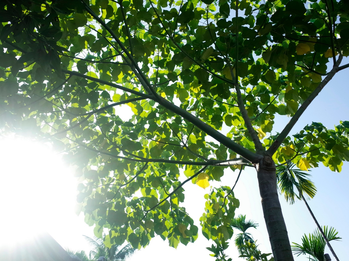 （攝影／戴芫品）