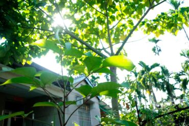 （攝影／戴芫品）