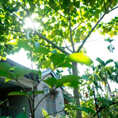 （攝影／戴芫品）