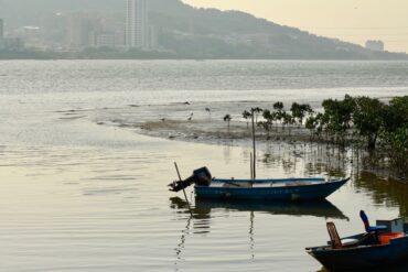 （攝影／許育銀）