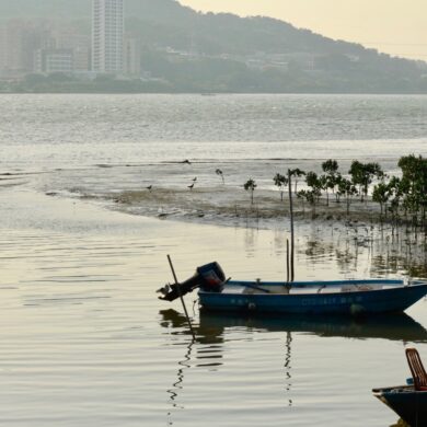 （攝影／許育銀）