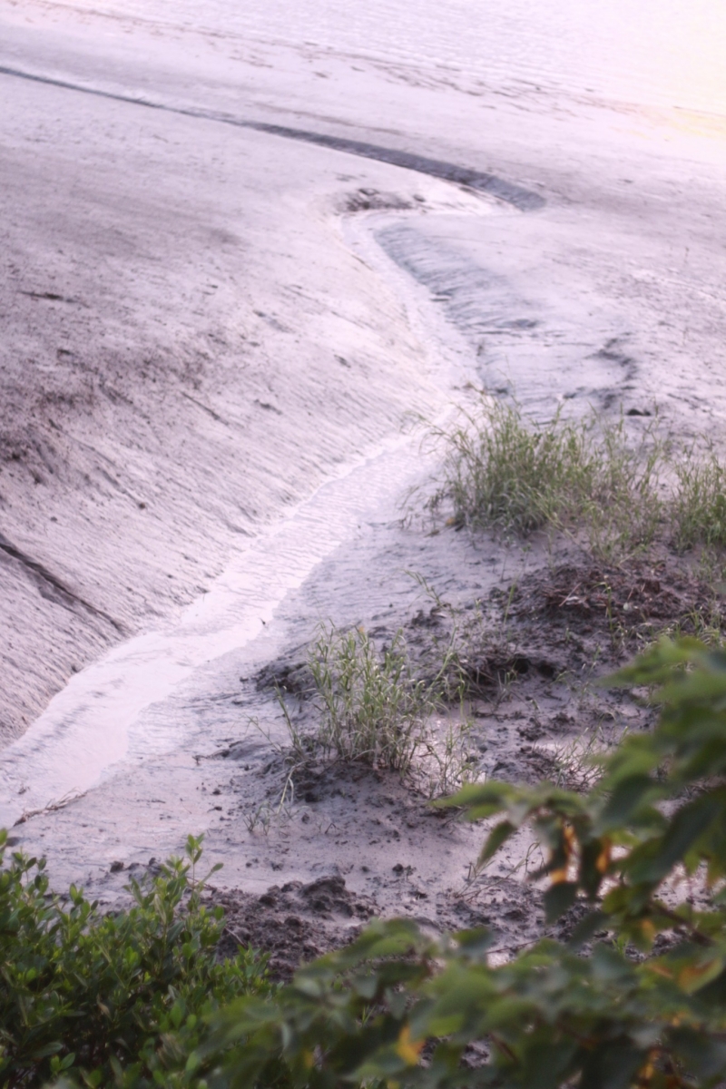 （攝影／許育銀）