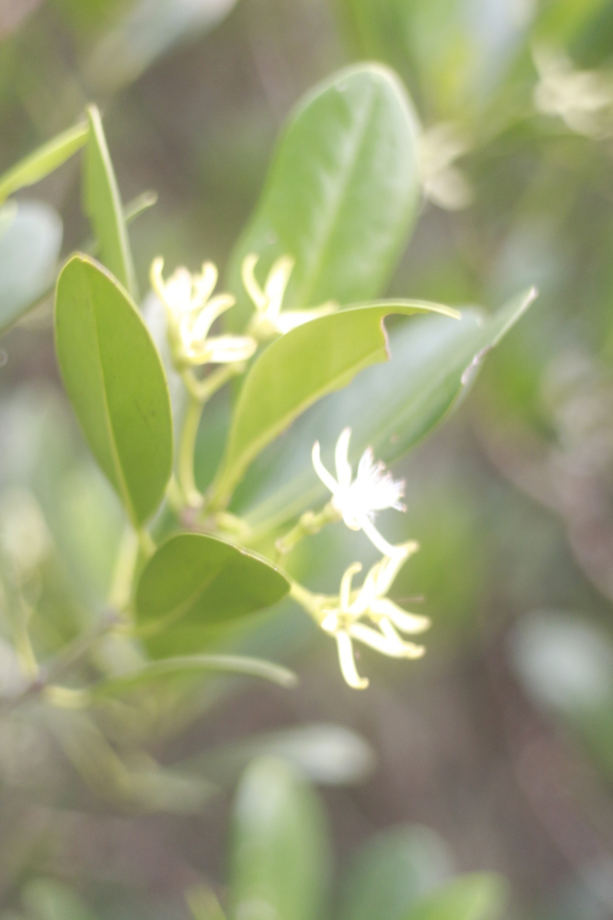 （攝影／許育銀）