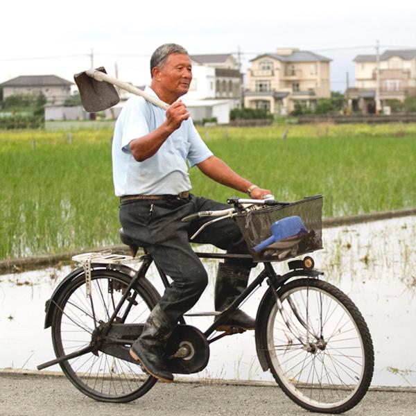 [挑選] 適合做造型便當的米