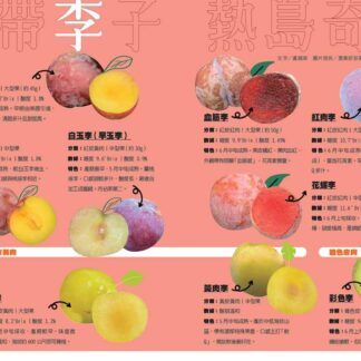 鄉間小路 2026年 八月號 蕉李梨 賀呷緊拜:圖片 3