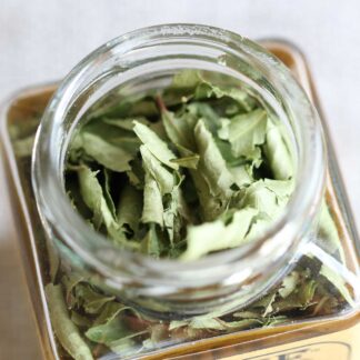 台灣咖哩葉(咖哩料理必備,台東種植):圖片 3