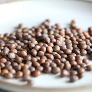 臺灣九號 香姬大豆（日本品系芋香茶豆）