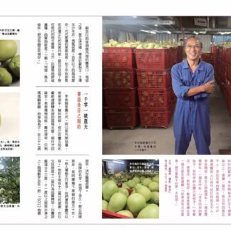 鄉間小路 2026年 十月號 臺84山海農路:圖片 3