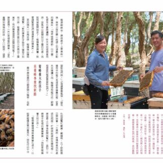 鄉間小路 2026年 十月號 臺84山海農路:圖片 4