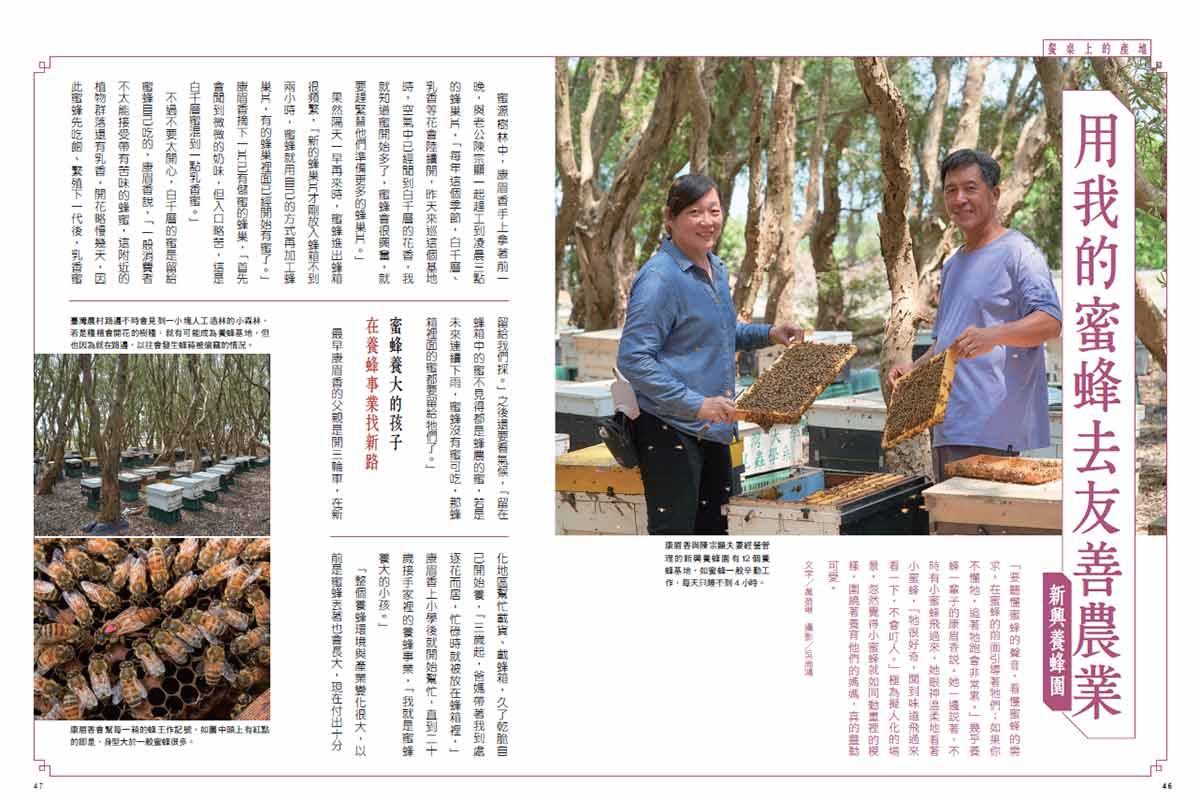 鄉間小路 2026年 十月號 臺84山海農路:圖片 4