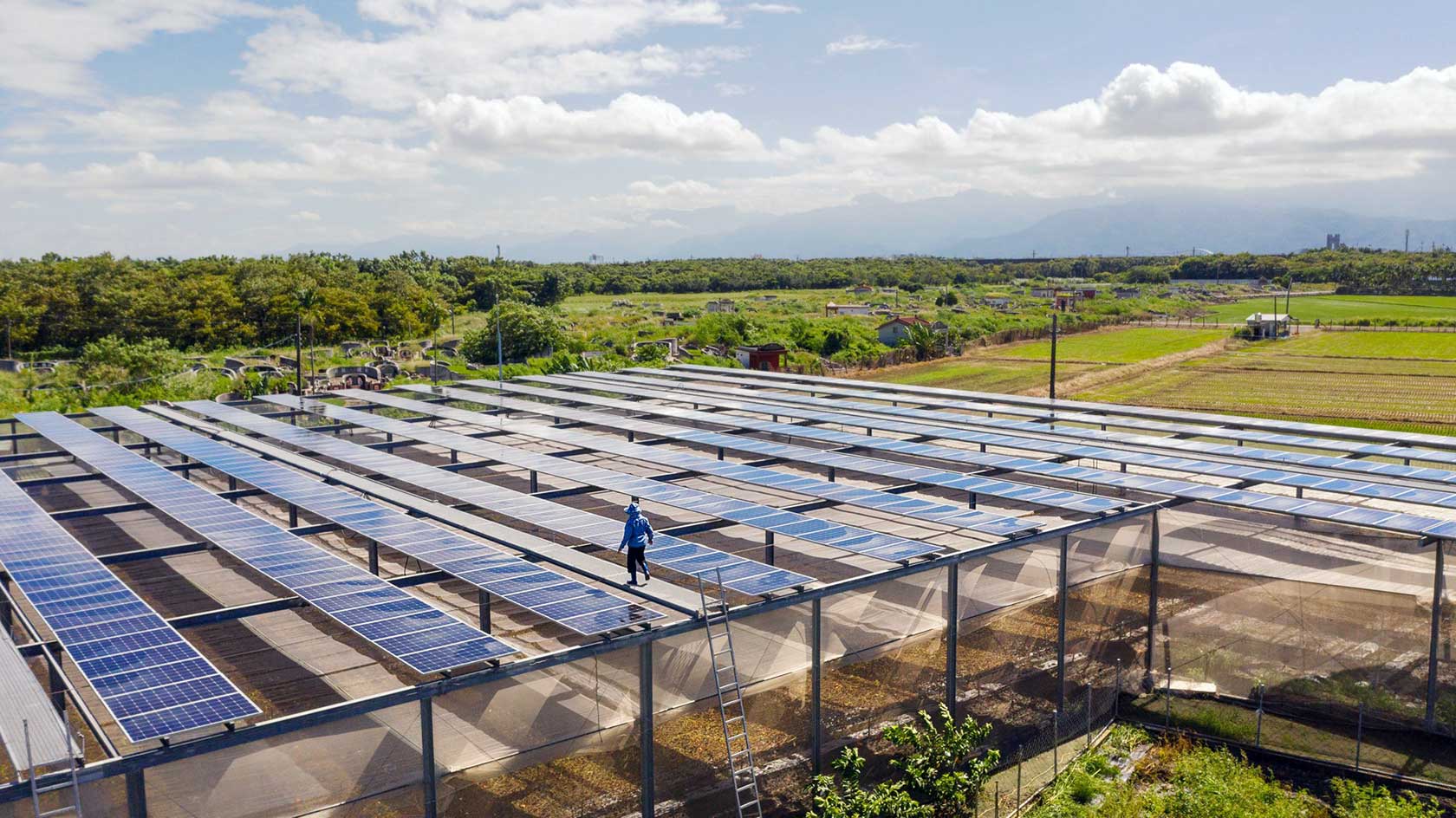 光電侵農大調查 07 農電共生可行嗎 前車之鑒不可不慎 上下游專題報導
